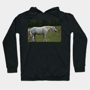 Wild Horse Hoodie